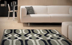 Area Rug